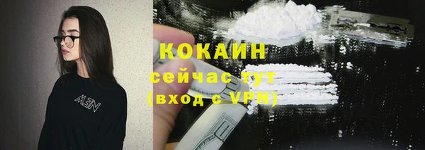 твердый Аркадак